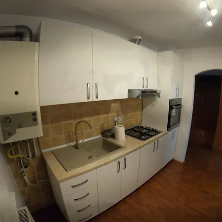 Cozy In A Quiet Area 티미쇼아라